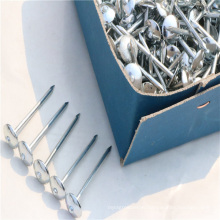 galavanized umbrella head roofing nails